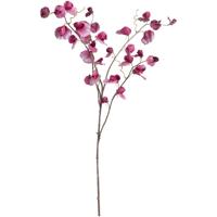Leen Bakker - Kunstbloem Lathyrus Spray - Fuchsia - 110 Cm - Kunststof - Roze
