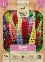 Lupine russell mengsel 20st