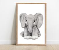 Poster - Olifant