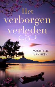 Het verborgen verleden - Machteld van Beek - ebook