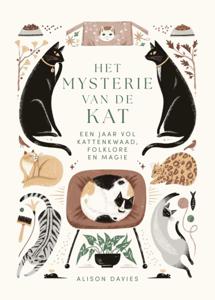Het mysterie van de kat (Hardback)