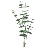 Kunstbloem/kunsttak Eucalyptus Cinera  - 90 cm - lichtgroen - 5 takken - kunst zijdebloemen