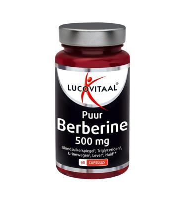 Berberine 500mg puur