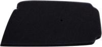 NYPSO Air filter black