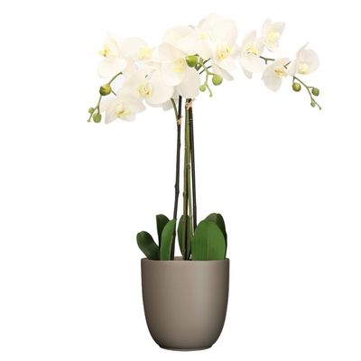 Orchidee kunstplant wit - 75 cm - inclusief bloempot taupe mat