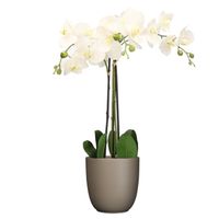 Orchidee kunstplant wit - 75 cm - inclusief bloempot taupe mat - thumbnail