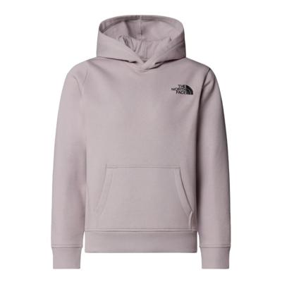 The North Face Redbox Regular Hoodie Trui Kinderen Moonstone Grey XL