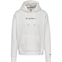 Reg Serif Linear Hoodie