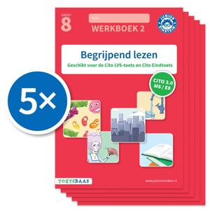 Begrijpend lezen (Set van 5) (Paperback)