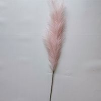 Pampas gras 130 cm licht roze kunstbloem - Buitengewoon de Boet - thumbnail