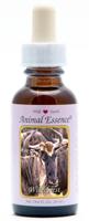 Animal Essences Wildebeest 30 Milliliter