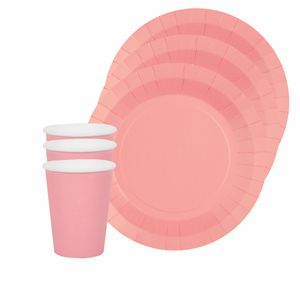 Feest/verjaardag servies set 20x bordjes en bekertjes - roze - karton