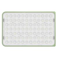 amaran Ace 25c Green