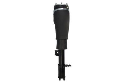 Pneumatische veerpoot APL017MT