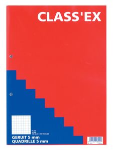 Class'ex cursusblok, geruit 5 mm, blok van 100 vel