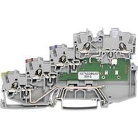 WAGO 2000-5417/1101-951 Initiatorklem 7 mm Spanveer Grijs 50 stuk(s)