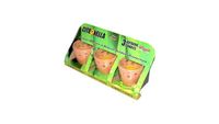 Citronella Terra Cotta Potjes Set van 3 Citronella Terra Cotta Potjes Set van 3