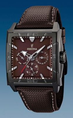 Horlogeband Festina F16569-6 Leder/Textiel Bruin