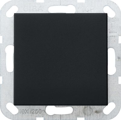 Gira blindplaat met draagring Zwart Mat 0268005 | Elektroshop