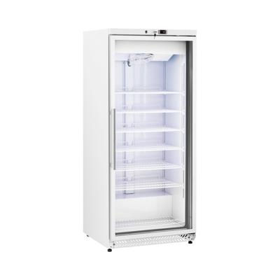 Diepvries - 580 L - Royal Catering - Glazen deur - Zilver - Koelmiddel R290