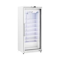 Diepvries - 580 L - Royal Catering - Glazen deur - Zilver - Koelmiddel R290