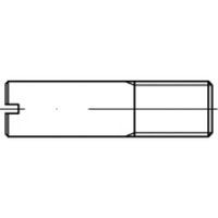 TOOLCRAFT TO-5394678 Tapeind M12 50 stuk(s) - thumbnail