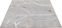 Karpet24 Modern Vloerkleed Creation - Laagpolig Tapijt met Stijlvol Takkenontwerp in Grijs en Crème-80 x 300 cm
