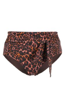 Marlies Dekkers bas de bikini Jungle - Marron