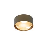 Trizo21 - Bily 16 OUT Vals plafond goud LED Plafondlamp - thumbnail