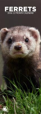 Fretten Slimline Kalender 2026