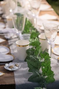 Santex Ivy Garland