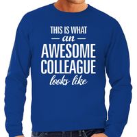 Awesome colleague / collega cadeau sweater blauw heren - thumbnail
