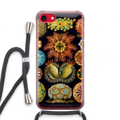 Haeckel Ascidiae: iPhone SE 2020 Transparant Hoesje met koord