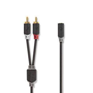Stereo audiokabel | 2x RCA male - 3,5 mm female | 0,2 m | Antraciet