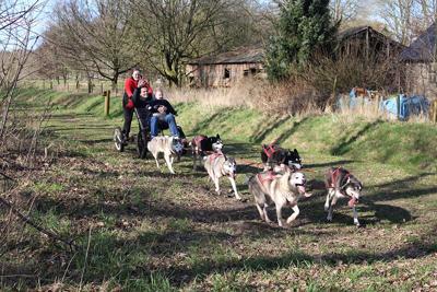 Ontdek een unieke combinatie van adrenaline en ontspanning