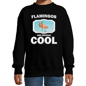 Sweater flamingos are serious cool zwart kinderen - flamingo vogels/ flamingo trui
