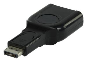 Valueline CMP-ADAP572 kabeladapter/verloopstukje DisplayPort (M) DVI-I (F) Zwart