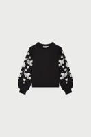 Fabienne Chapot Trui CLTSWE18AW259001
