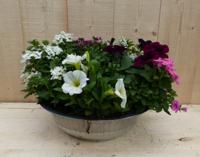 Zinken bak zomerbloeiers wit/roze/paars dia. 30 cm Warentuin Natuurlijk - Warentuin natuurlijk