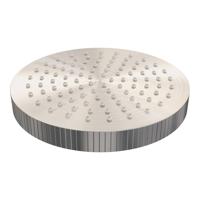 BRAUER Stripe Regendouchekop - 25cm - RVS-kleurig geborsteld PVD 5-NG-466