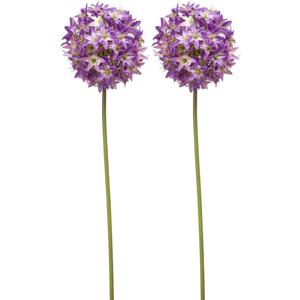 Allium/Sierui kunstbloem - 2x - losse steel - paars - 60 cm - Natuurlijke uitstraling