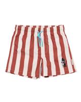HEMA Takkie kinderzwembroek strepen bruin (bruin)