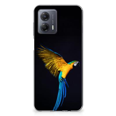 Motorola Moto G53 | TPU Hoesje | Papegaai