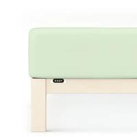 Schlafgut Schlafgut EASY Jersey Elasthan Hoeslaken L - 140x200 - 160x220 643 Green Light