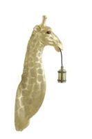 Giraffe - thumbnail
