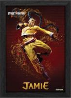 Pixel Frames Plax - Street Fighter 6: Jamie (25cm x 30cm)