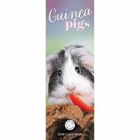 Cavia Kalender 2026 Slimline