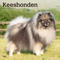 Keeshond Kalender 2026
