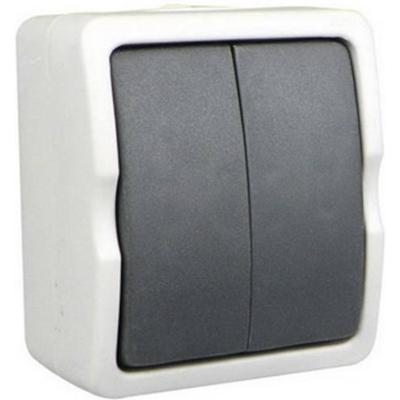 Schakelaar - dubbel - opbouw - IP54 - 250V - 10A - spatwaterdicht - buiten