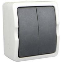 Schakelaar - dubbel - opbouw - IP54 - 250V - 10A - spatwaterdicht - buiten